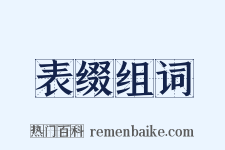 表缀组词是什么意思的图片